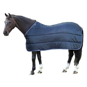 WINTER SHEET
